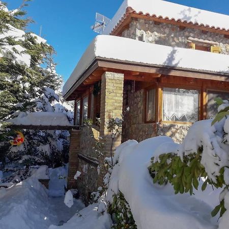 Livadi Chalet Arachova The Perfect Family Vacation Kültér fotó
